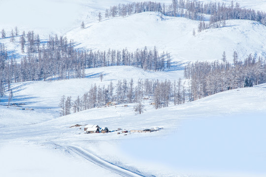 冬天喀纳斯雪景