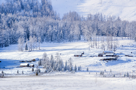 冬天喀纳斯雪景