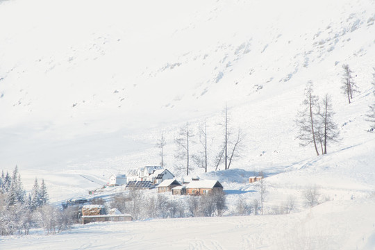 冬天喀纳斯雪景