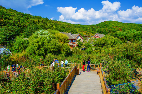 千山老房子园林建筑群与木栈道