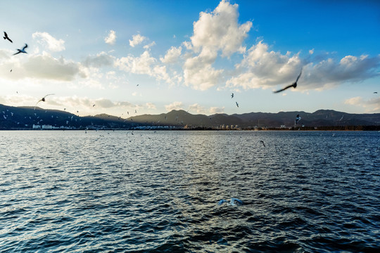 昆明滇池海埂大坝自然景观