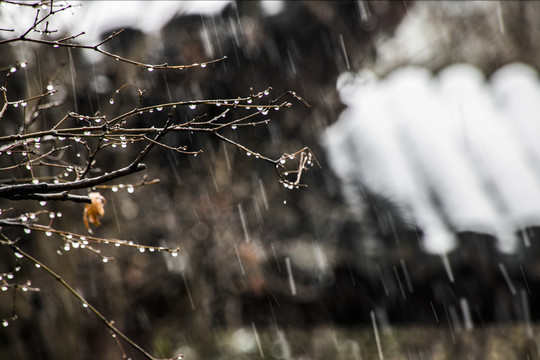 下雪