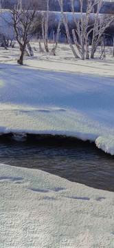 雪原小溪树