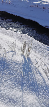 雪原小溪树