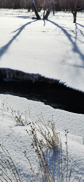 雪原小溪树