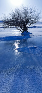 雪原小溪树