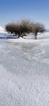 雪原小溪树