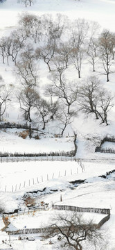 雪地栅栏