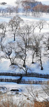 雪地栅栏