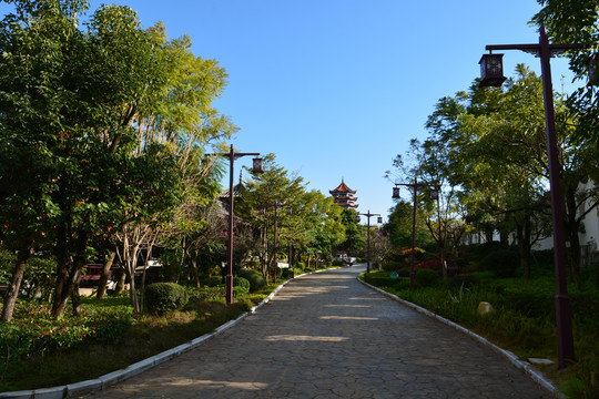 云南省蒙自市石榴公园风景区道路