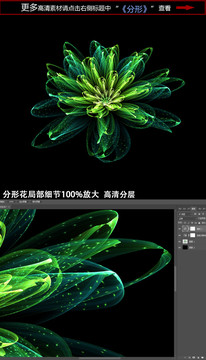 綻放花朵分形圖案