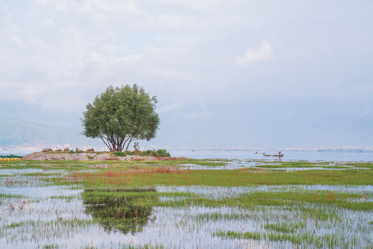 中国云南省拉什海湿地公园风光