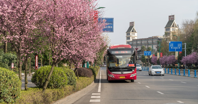 春天的街道