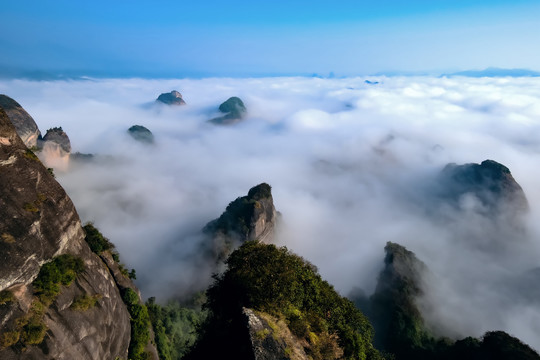 高山晨曦映云海