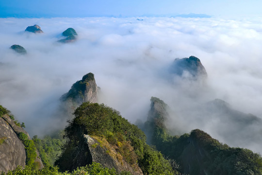 高山晨曦映云海