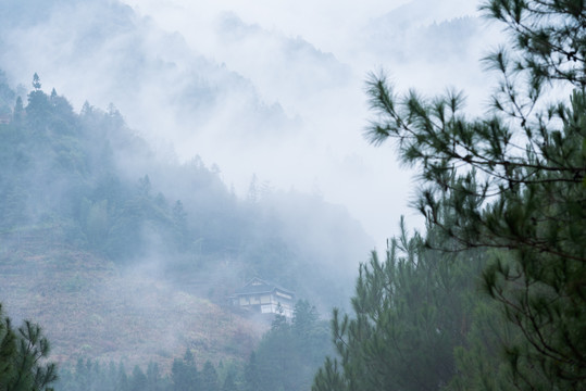 云雾缭绕的山区