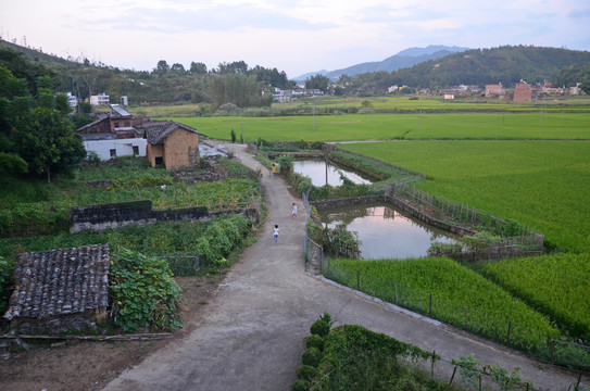 乡村道路