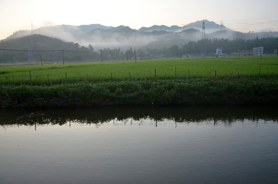 田园风光