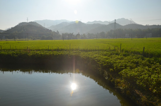 乡村早晨