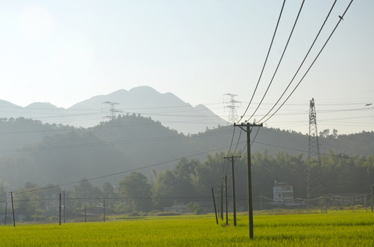 乡村早晨