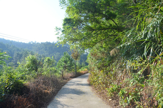 山区道路