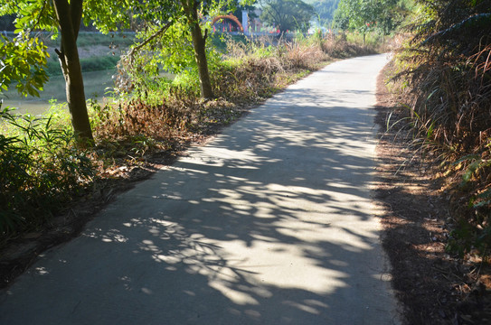 山间道路