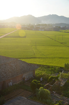 田园风光