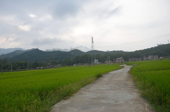 乡村道路