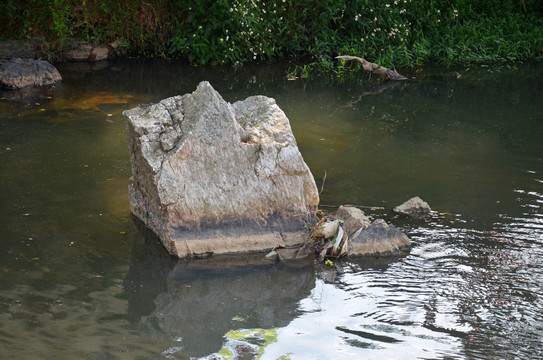 河面岩石