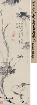 朱耷清八大山人葡萄鳥石圖