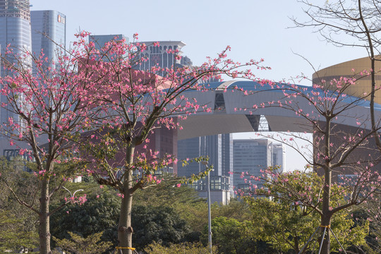 花树