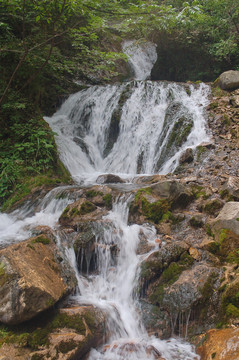 栾川重渡沟景区溪水