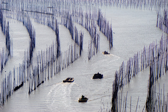 霞浦沙江S湾