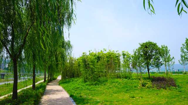 三堰风光绿草原