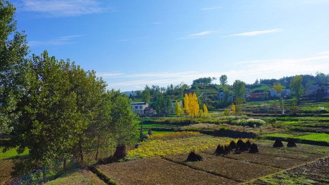 三堰风光农村