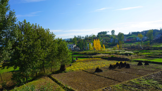 三堰新农村