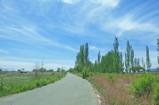 蓝天下的乡村道路风景