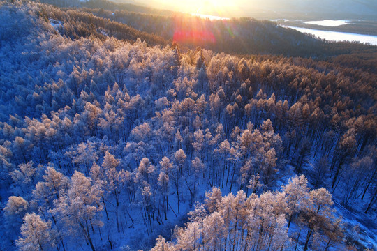 大兴安岭冬季雪林朝阳