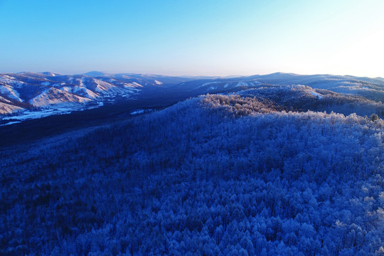 大兴安岭雪色山林