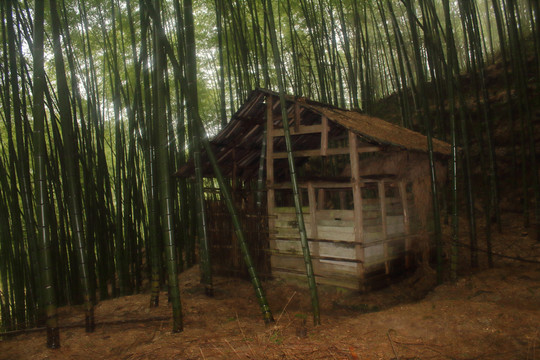 竹林小屋