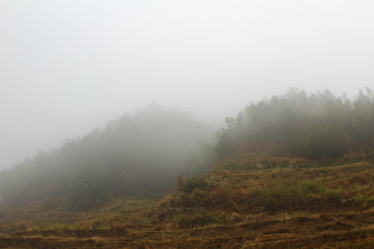 云雾山景水墨素材