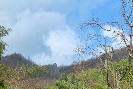 大山天空