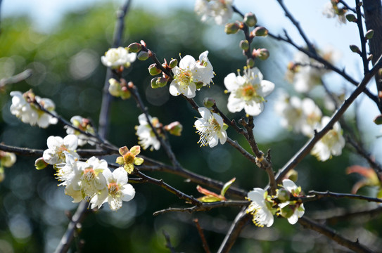 春暖花开