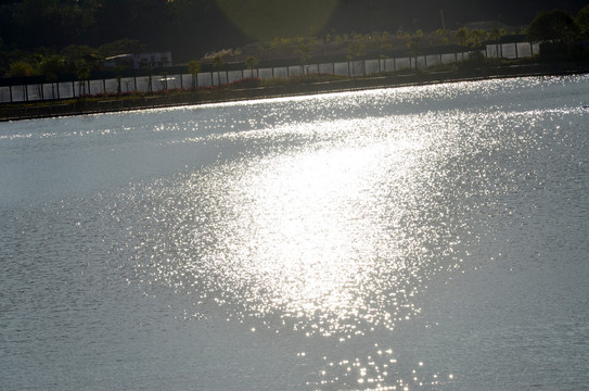 阳光湖面