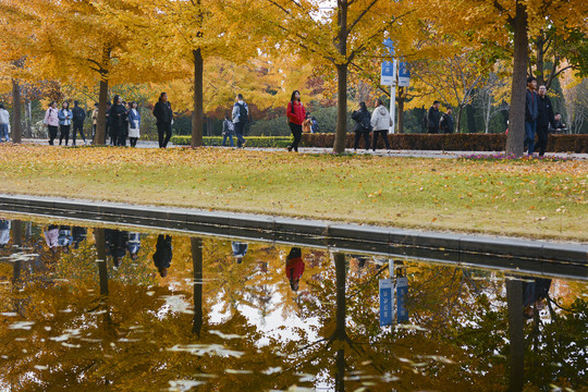 山东青岛科技大学