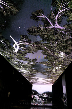韩国乐天世界大厦LED装饰