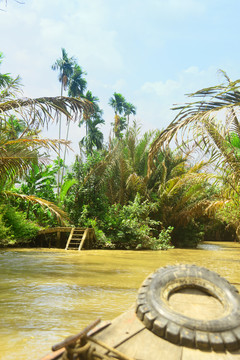 越南湄公河小景