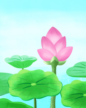 荷花