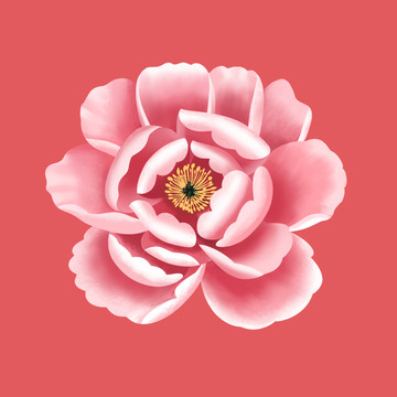 分層牡丹