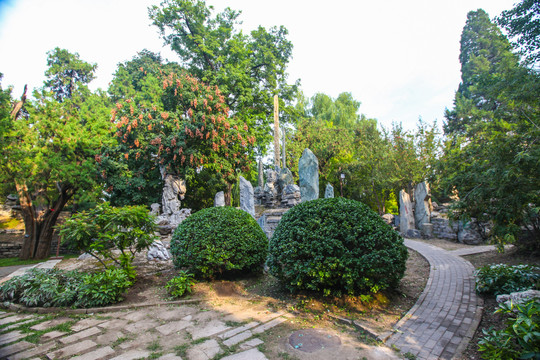 太庙花园